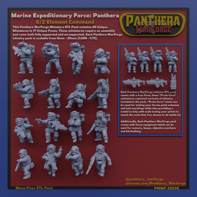 PWMP 25036 Back.jpg